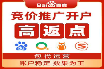 百度网络推广实战案例：从零开始打造爆款品牌